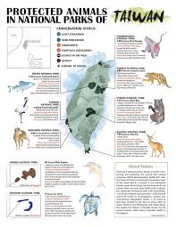 Grace Wang Ecology Infographic On Endangered Animals In Endangered Animals Endangered Animals