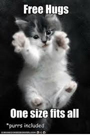 Hugs Meme Google Search Cute Funny Animals Funny Cute Memes Cute Little Kittens