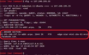 Top 3 Ways To Lookup Reverse Dns On Linux Foss Linux