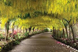 Exploring Europe S Gardens With Victoria Landscape Gourmet Garden Beautiful Gardens