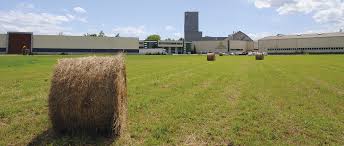 Moulin Des Moines Une Entreprise Qui Veille Au Grain Bio Depuis 1970 Bio Lineaires Le Magazine Professionnel Des Points De Ventes Bio Biodynamiques Et Dietetiques