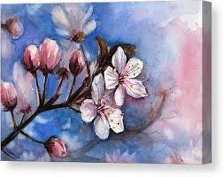 Check spelling or type a new query. Cherry Blossom Canvas Prints Fine Art America