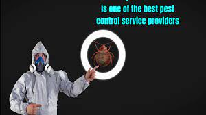 Read writing from green valley pest control ltd. Effective Pest Control Vancouver Green Valley Pest Control Ltd