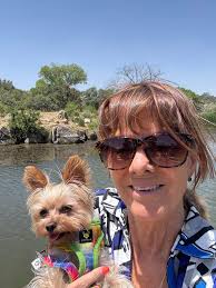 Is it common for Yorkies to be obsessed with sniffing everything?