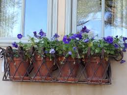 Our wrought iron window boxes can be displayed with a white liner or a series of your favorite 8 pots. Iron Planter Box Ideas On Foter