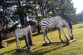 A contemporary style zebra sculpture. Photo Of The Week Zebra Herder 1 2