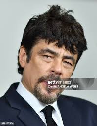 186 Meredith Weiss Stock Photos, High-Res Pictures, and Images