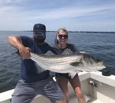 Ten trophy fish in a half day of fishing! Newport Ri Fishing Charters Tall Tailz Charters Striped Bass Fishing