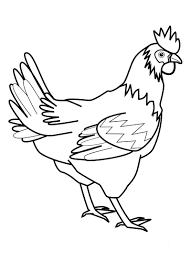 Gambar mewarnai ayam dan anaknya. Mewarnai Ayam Betina Kumpulan Contoh Soal 1