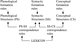 Does your kitchen have black appliances? Https Dsls Indiana Edu Stringer 2019 Lexical Semantics Published Pdf