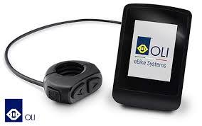 Display OLI High Vision a colori per eBike