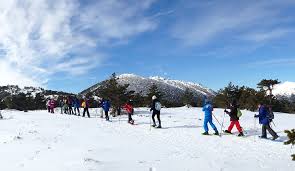 It was the 17th edition of the event on the atp world tour and 10th on the wta tour. Raquetas De Nieve Para Colegios En Madrid Actividades Para Colegios