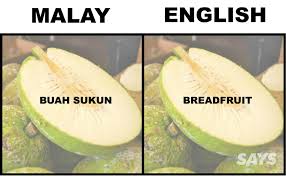 These sentences come from external sources and may not be accurate. What S Pandan And Ciku In English We Dug Up Translations Of 16 Produce Malaysians Love