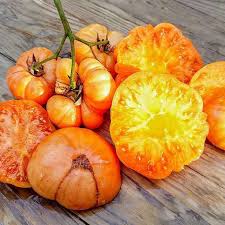 نتیجه جستجوی لغت [fleshed] در گوگل