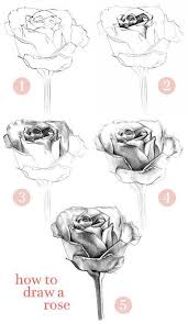 Bildergebnis Fur Zeichnen Lernen Vorlagen Roses Drawing Drawings Flower Drawing