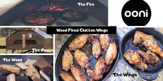 Recipe courtesy of tyler florence. How To Cook Wood Fired Wings That Helpful Dad