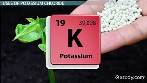 نتیجه جستجوی لغت [potassium] در گوگل