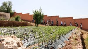 We did not find results for: In Morocco Difference Is A Strength The Maravi Post