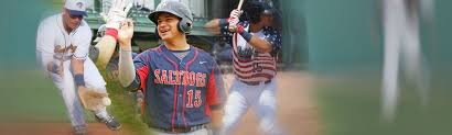Join facebook to connect with christian castro ibarra and others you may know. Ibarra Earns American Association Player Of The Week Award Lincoln Saltdogs