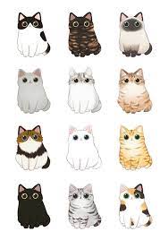 Bodle Cat Type Naver Blog Drawing Blog Bodle Cat Drawing Naver Type Cute Cat Illustration Cat Illustration Cat Art