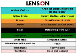 Ion Cleanse June 2017