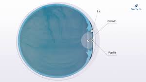 Parce que l'#hygiène et l'entretien sont indispensables dans le port régulier de lentilles de contact, precilens propose une large gamme de #solutions d'entretien ! Precilens Nachtlinsen