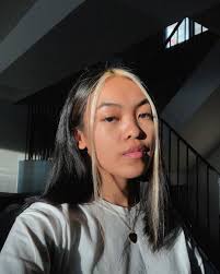 10 Best E Girl Hairstyles And How To Get The Look In 2020 Hair Color Streaks Hair Inspo Color Hair Streaks