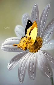 Animasi kupu kupu bergerak lucu terbang cantik gif kupu kupu memang cantik jika anda melihat si. Motyl A Kopretina Butterfly Mosaic Butterfly Art Diamond Painting