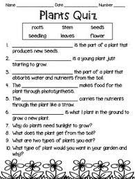 With 350 questions to choose from, i'm confident that everyone can find plenty of good questions to ask! Plants Quiz Science Quiz Quiz Word Bank