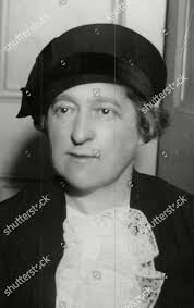 Professor Olive Wheeler Psychologist University Lecturer Editorial Stock  Photo