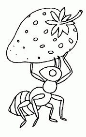 Pin De Nicole Harf En Ecole Idees Insectes Paginas Para Colorear Formicidae Dibujos