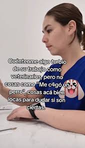 Fotos de mis 3 gatos naranjas mirando directamente a la cámara