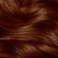That liminal space between red and brown where one of the most beautiful hair colors exists. Natural Instincts Just The Red Shades Clairol