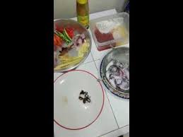 Tak payah lauk lain lagi dah. Sotong Masak Hitam Simple Tapi Sedap Youtube