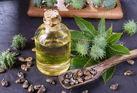 Then moisturise a lot, again with an unscented or coloured moisturiser (maybe baby lotion) and try not to wear any tight clothes or underwear for a little while after. 10 Home Remedies On How To Get Rid Of Razor Bumps