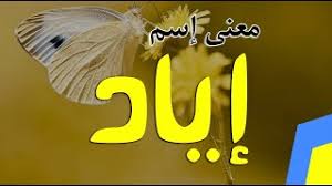 معنى اسم اياد في اللغة العربية معنى اسم اياد وصفات حامل الاسم وشخصيته في علم النفس Youtube