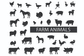 Download Farm Animals Silhouette Clip Art Bundle Graphic By Meshaarts Creative Fabrica