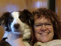 Small Animal Veterinarians