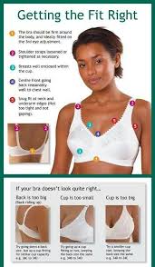 A Numbered Bra Fit Guide Bra Fitting Guide Bra Fitting Bra
