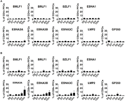 Frontiers Emergence Of Cd4 And Cd8 Polyfunctional T Cell