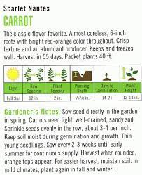 How To Read A Seed Packet In 2021 Seed Packets School Garden Gardening For Kids