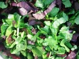 There are lettuces for all seasons. How To Make A Winter Salad Mix Organic Gardening Mother Earth News