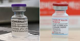 김경진 에스티팜 사장은 오늘(29일) 오전 서울 중구 코리아나호텔에서 열린 '차세대 mrna 백신 플랫폼 기술 컨소시엄' 출범식 인사말에서 lnp(지질나노입자) 기반 자체 후보물질 'stp2104'를. Z90mqldkfv Rkm