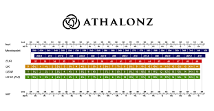 Shoe Size Chart Athalonz
