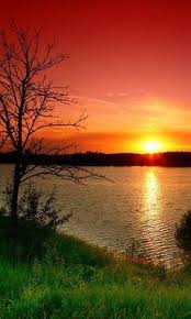 Download cool sunset pictures resort desktop wallpaper and 3d desktop backgrounds, screensavers, live background wallpapers for free listed above from the directory nature. Cute Sunset Wallpaper Download To Your Mobile From Phoneky