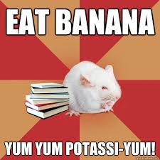 Eat Banana Yum Yum Potassi Yum Science Major Mouse Quickmeme