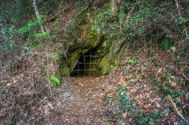 Distribution of mines in washington. Once A Gold Mine Trail Cocoa Smiles