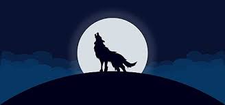 wolf silhouette on full moon wolf silhouette shadow silhouette pop art background
