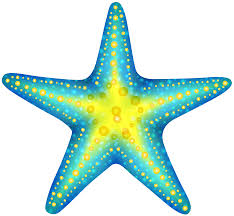 Free Starfish Clipart Png, Download Free Starfish Clipart Png png ...