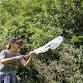 Monarch Tagging — Southern Wisconsin Bird Alliance